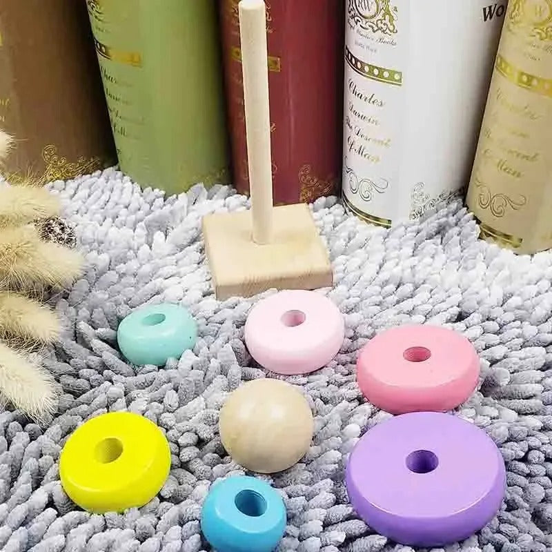 Montessori Rainbow Stacker